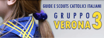 Scout VR3